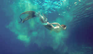 Underwater_ Mermaid_ Illusion Wallpaper