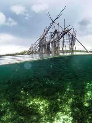 Underwater Seagrass With Wooden Structure Wallpaper