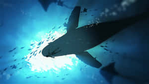 Underwater_ Shark_ Silhouette Wallpaper