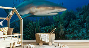 Underwater Shark Wallpaperin Bedroom Scene Wallpaper