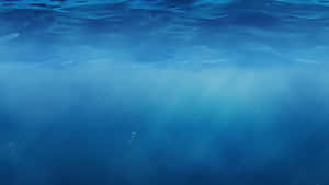 Underwater_ Sunbeam_ Desktop_ Background.jpg Wallpaper