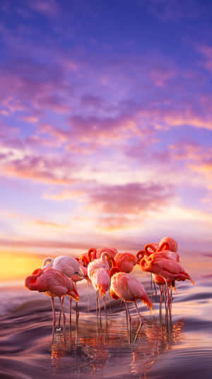 Unforgettable Photography Of A Feathered Friend Wallpaper