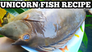 Unicorn Fish Recipe Preparation Wallpaper