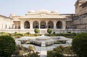 Unique Garden In Amer Fort Wallpaper