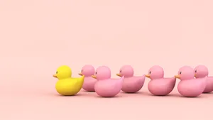 Unique Yellow Rubber Duck Leading Pink Ducks.jpg Wallpaper