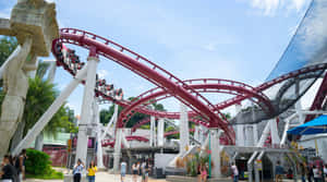 Universal Studios Singapore Roller Coaster Thrills Wallpaper