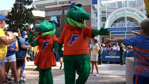 University Of Florida Gators Mascots Wallpaper