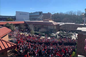 University Of Georgia Bulldogs Fans Wallpaper