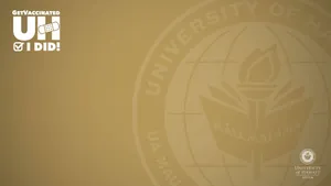 University Of Hawaii Brown Zoom Logo Wallpaper