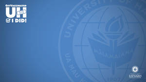 University Of Hawaii Light Blue Zoom Background Wallpaper