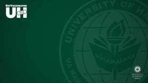 University Of Hawaii Manoa Green Zoom Backdrop Wallpaper