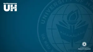 University Of Hawaii Maui Blue Zoom Background Wallpaper