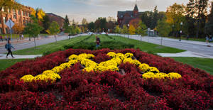 University Of Minnesota Garden Wallpaper