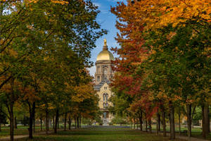 University Of Notre Dame Main Building Amongst Beautiful Greenery Wallpaper