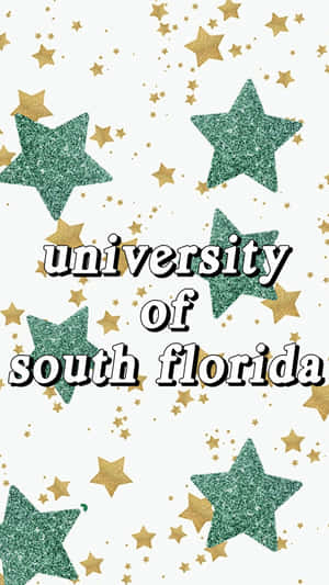 University Of South Florida Campus Illuminated Under The Stars Wallpaper