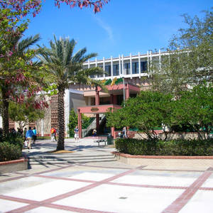 University Of South Florida Main Campus Wallpaper