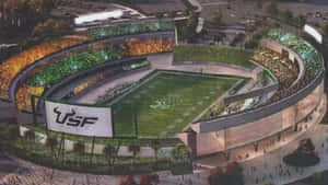 University Of South Florida Stadium Wallpaper