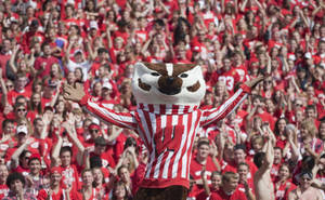 University Of Wisconsin-madison Dancing Mascott Wallpaper