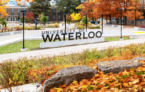 Universityof Waterloo Campus Autumn Wallpaper