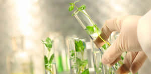 Unleashing The Power Of Green Chemistry Wallpaper