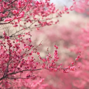 Unlock The Future Of Technology With Fantasy Phone Wallpaper