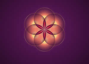 Unlock The Power Of The Flower Of Life Wallpaper