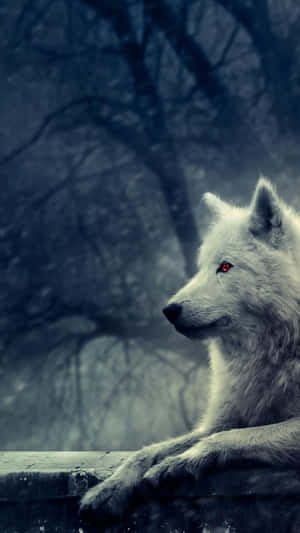 Unlock The Power Of Wolf Phone Wallpaper