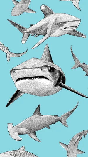 Unlock Your Phone With The Powerful Shark Iphone Wallpaper