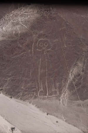 Unraveling The Enigma Of The Ancient Nazca Lines Wallpaper