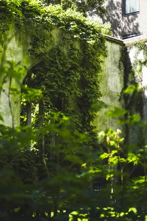 Unravelling Secrets Of Untold Beauty Wallpaper