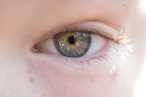 Unveiling Nature's Magnificence: An Exquisite Macro Perspective Wallpaper