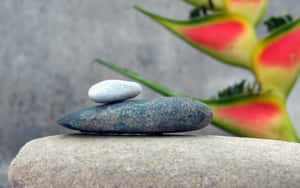 Unwind And Relax In Luxurious Spa Treatments Wallpaper