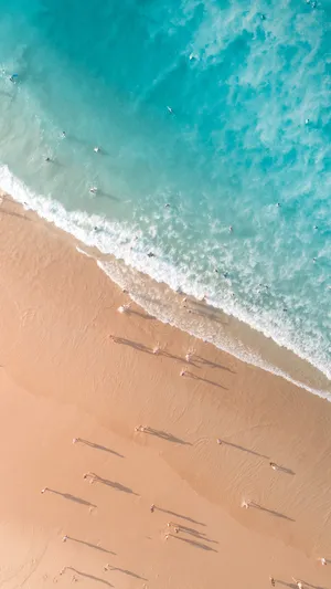 Unwind At A Tropical Paradise Wallpaper