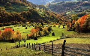 Unwind In The Serene Autumnal Haven, Zlatibor Serbia Wallpaper