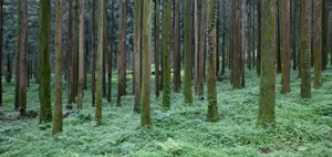 Up Close Look At A Book Cover Wallpaper