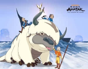 Up Close With Avatar Appa Sky Bison Wallpaper