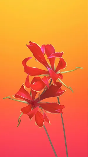 Upgrade Your Device With The Sleek And Elegant Iphone 6s Wallpaper