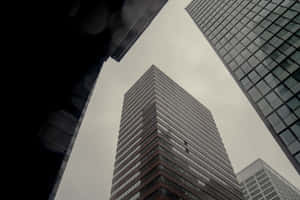 Urban_ Canyon_ Office_ Towers.jpg Wallpaper