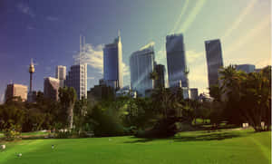 Urban Oasis_ Skyline Park View.jpg Wallpaper