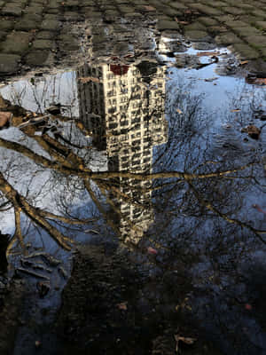 Urban Reflections_ Pioneer Square Seattle Wallpaper