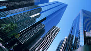 Urban Skyscrapers Blue Sky Wallpaper