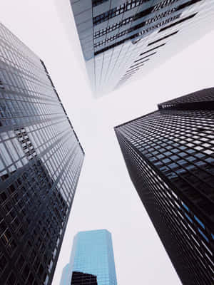 Urban_ Skyward_ View.jpg Wallpaper