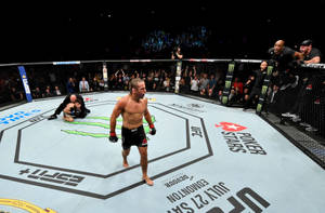 Urijah Faber In The Octagon Ring Wallpaper