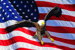 Us Eagle X American Flag Wallpaper