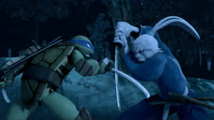 Usagi Yojimbo Versus Ninja Turtle Wallpaper