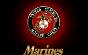 Usmc Semper Fi: Always Faithful Wallpaper