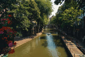 Utrecht Canal Summer Afternoon Wallpaper