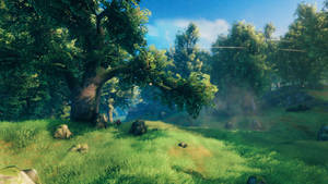 Valheim Plains And Forest Biome Wallpaper