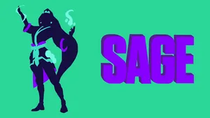 Valorant's Sage Battles On The Frontlines Wallpaper