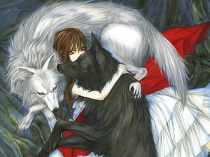 Vampire Knight Yuki Wolves Wallpaper